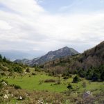 Κασιδιάρης